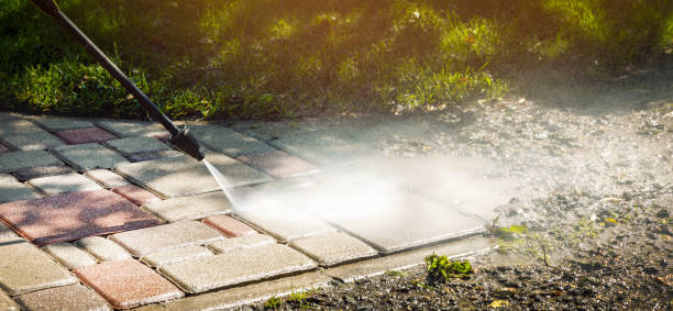 Best Fence Cleaning  in Rohnert Park, CA
